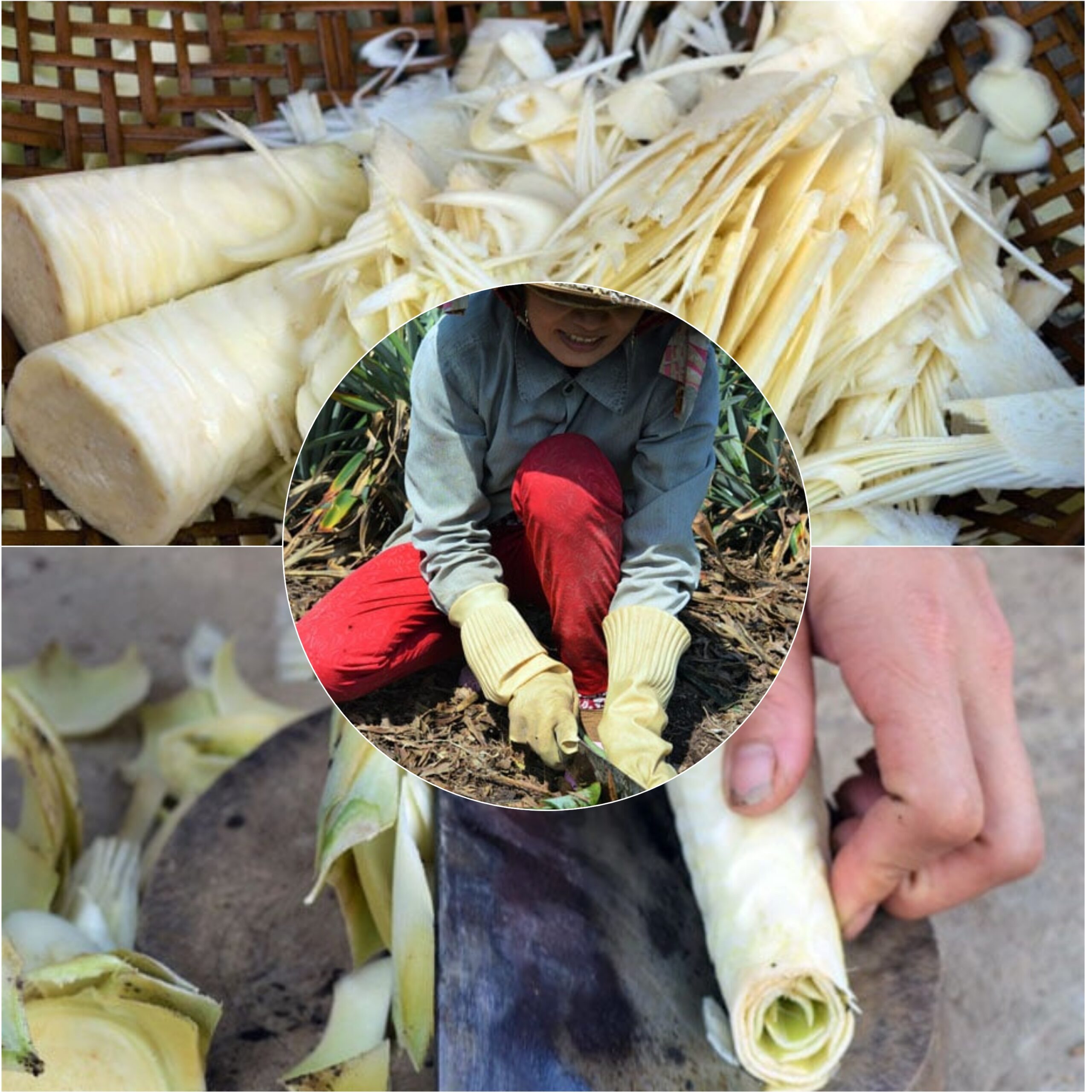 cu-hu-khom-hau-giang-dac-san-mien-tay