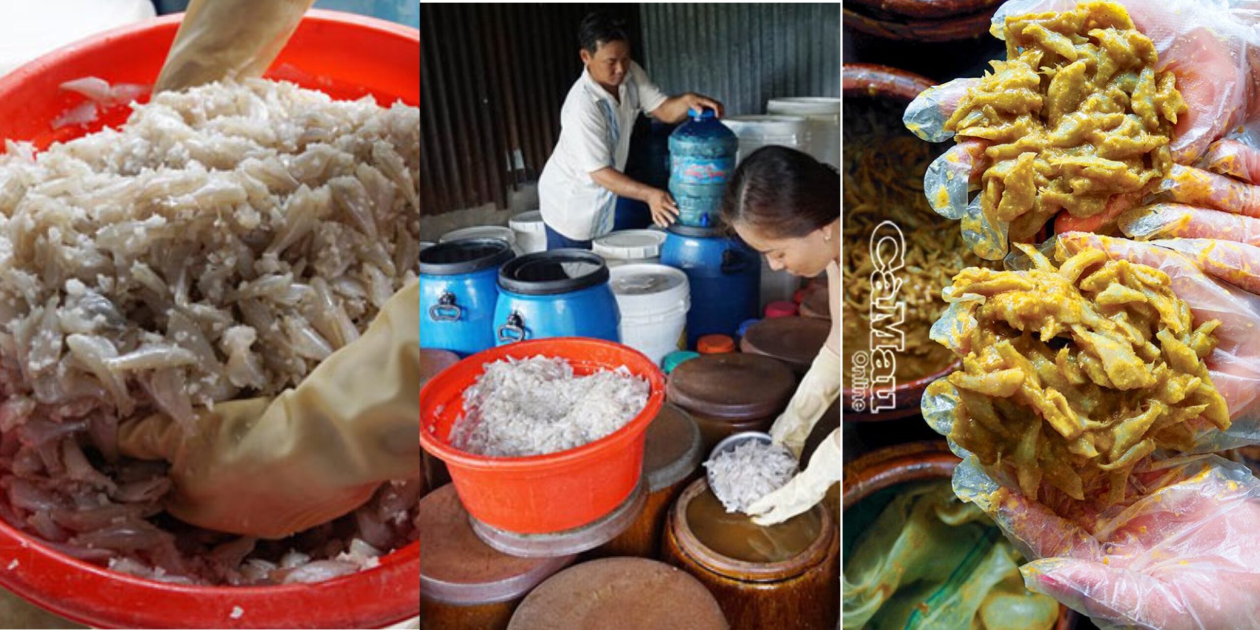 quy trình ủ mắm cá sơn
