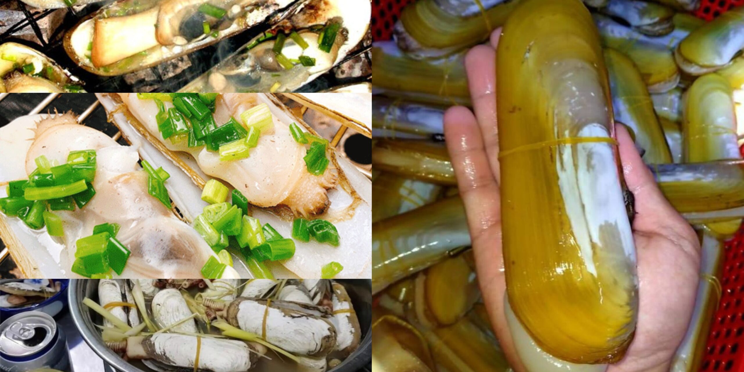 mon ngon tu oc mong tay chua nuong mo hanh