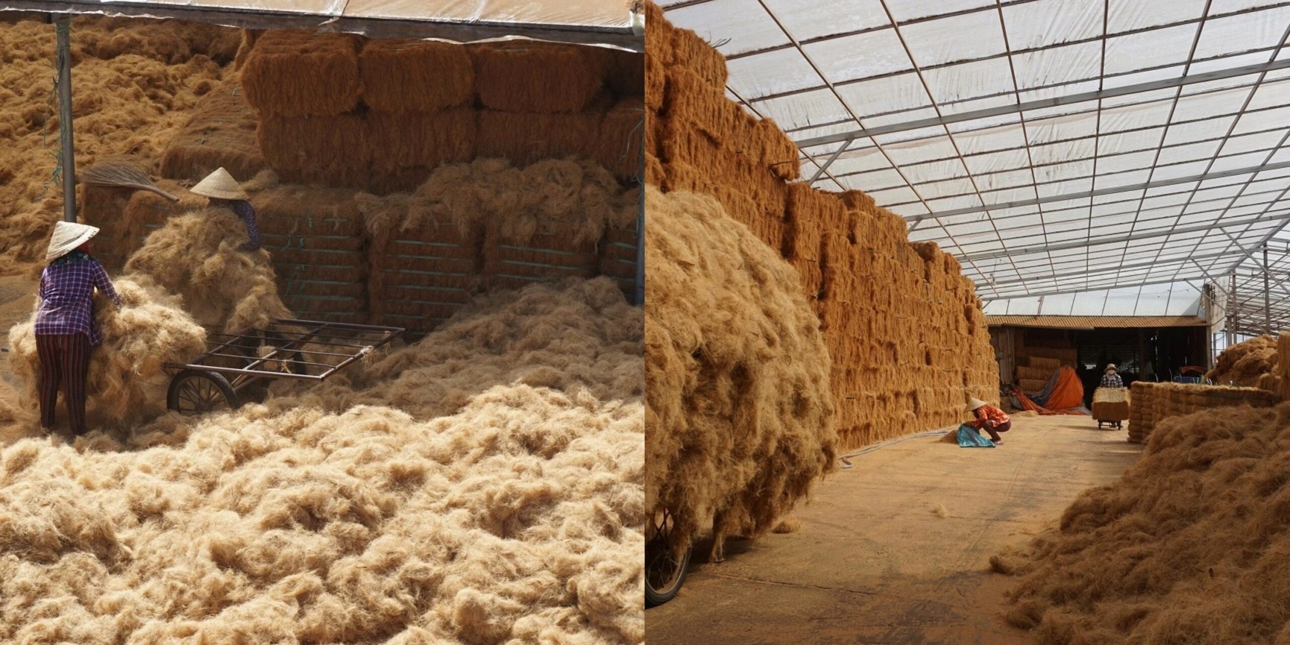 ác xưởng chế biến dừa tạo nên khung cảnh đặc sắc, ấn tượng dọc bờ sông