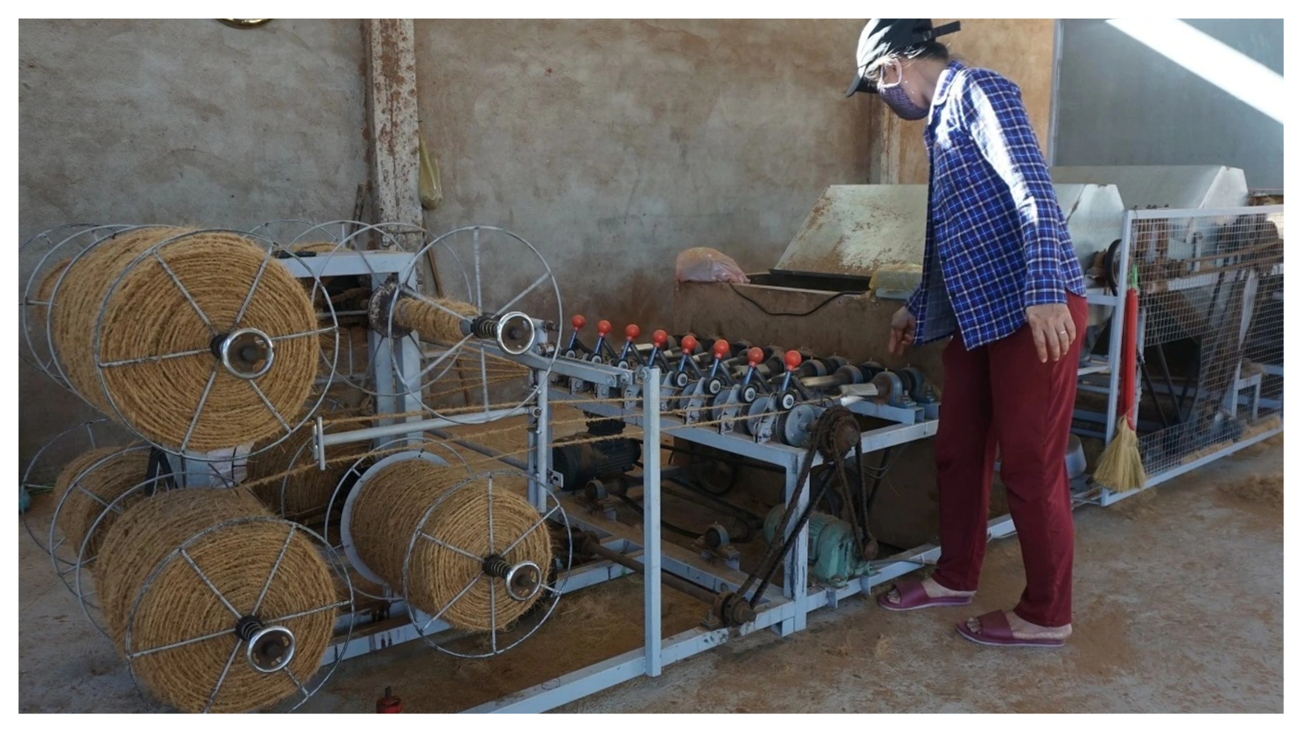 Xơ dừa sau khi phơi khô sẽ được đưa vào quay chỉ.