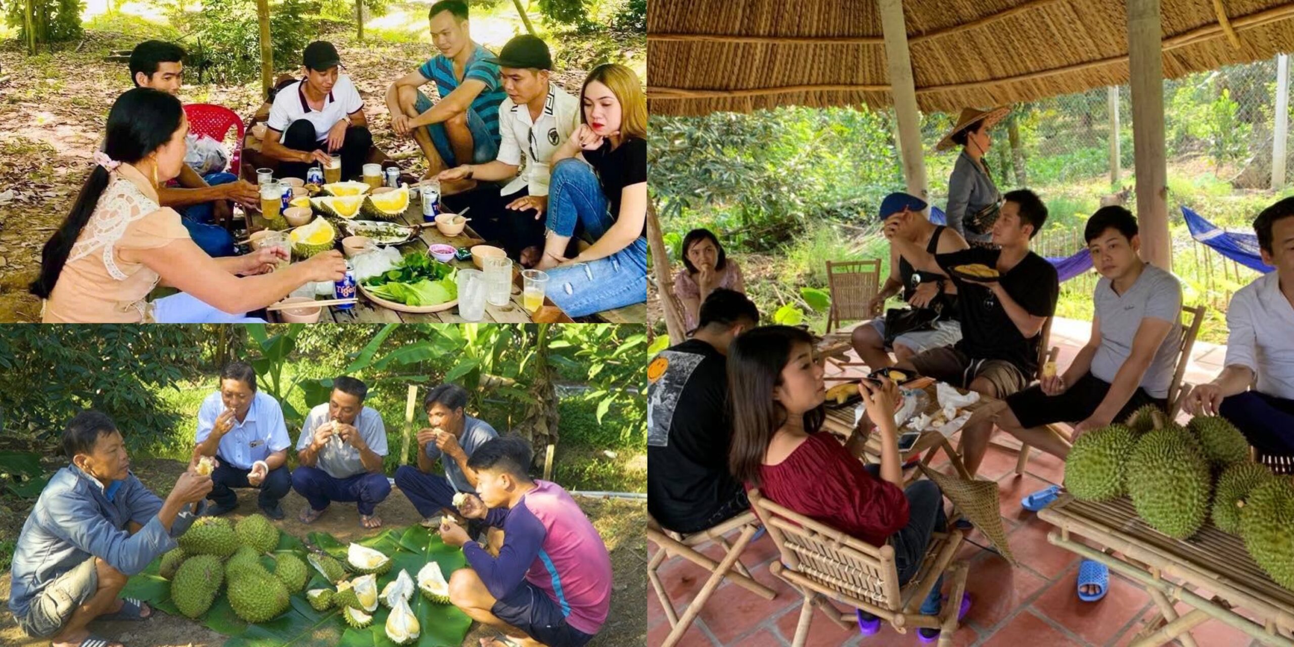vườn sầu riêng Cần Thơ trải nghiệm ăn tại chỗ