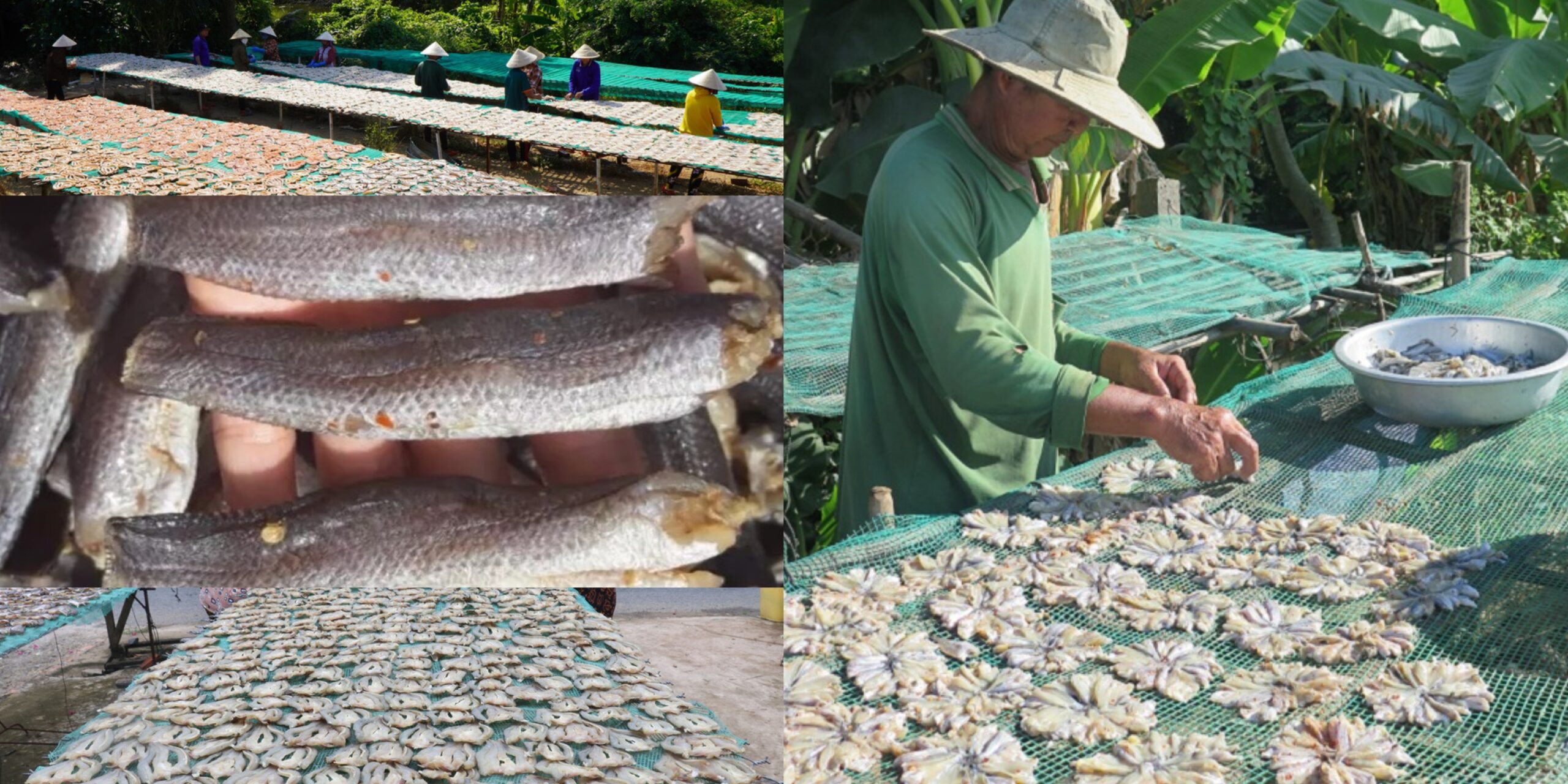 Quy trình phơi khô cá truyền thống tại Đồng Tháp