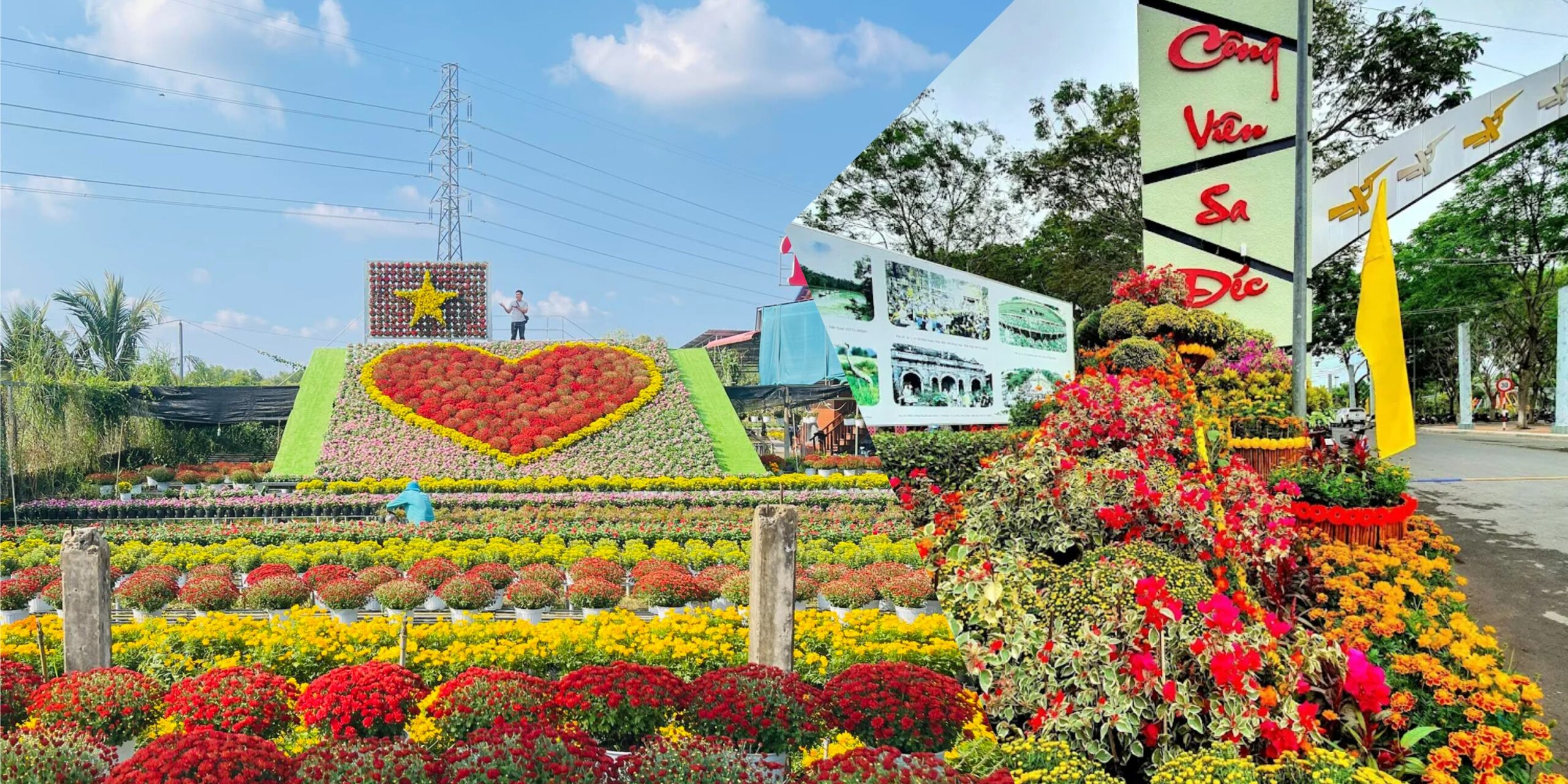 Festival Hoa kiểng Sa Đéc 2025 tại Công viên Sa Đéc