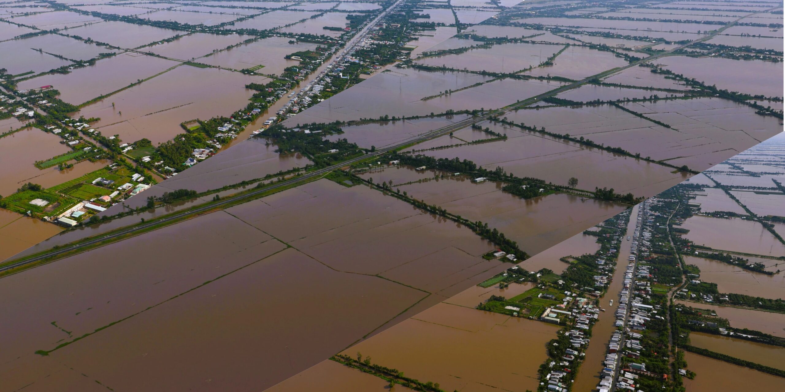 Cánh đồng miền Tây mùa nước nổi ngập nước