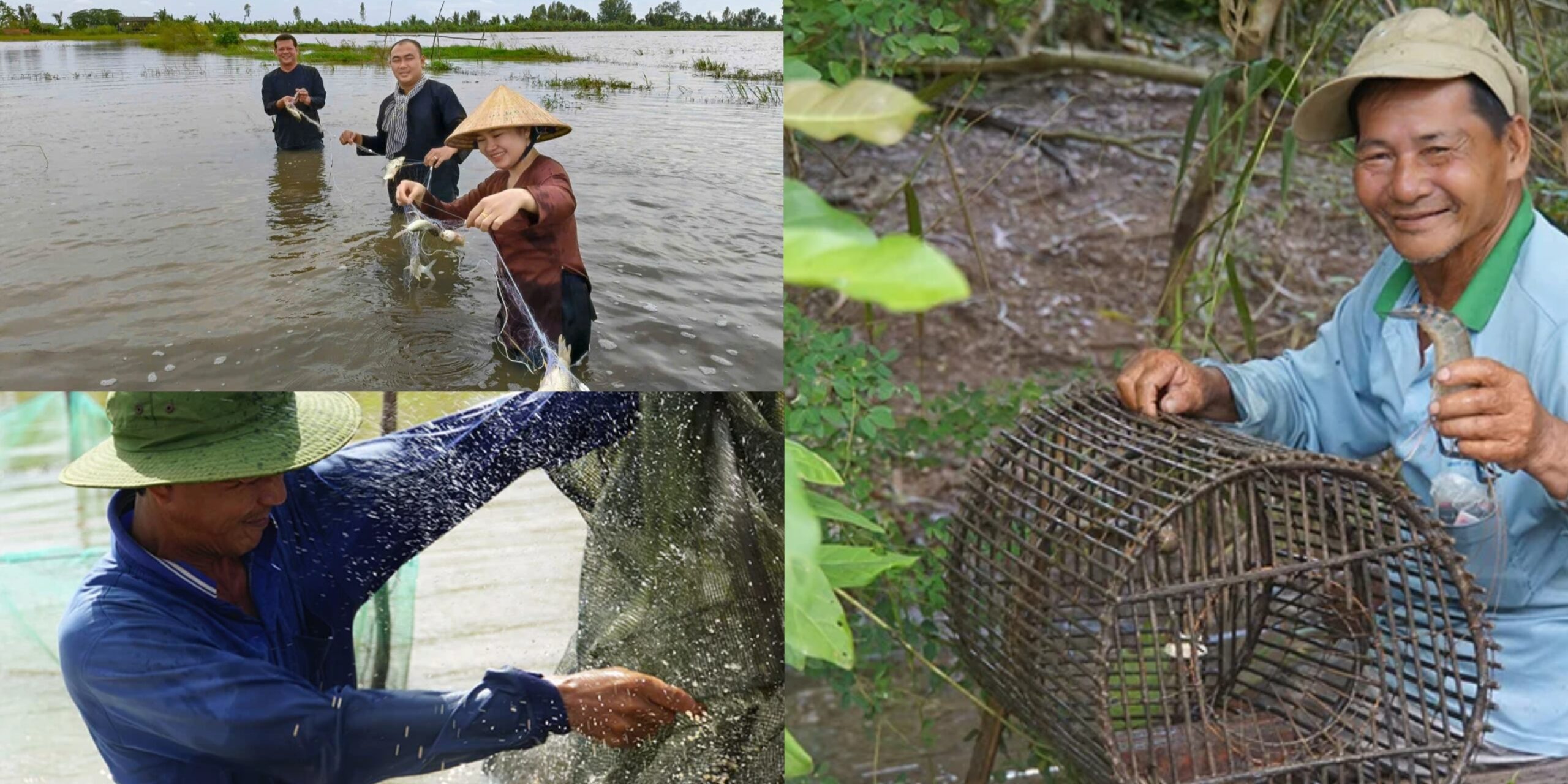 Nông dân miền Tây bắt cá mùa nước nổ