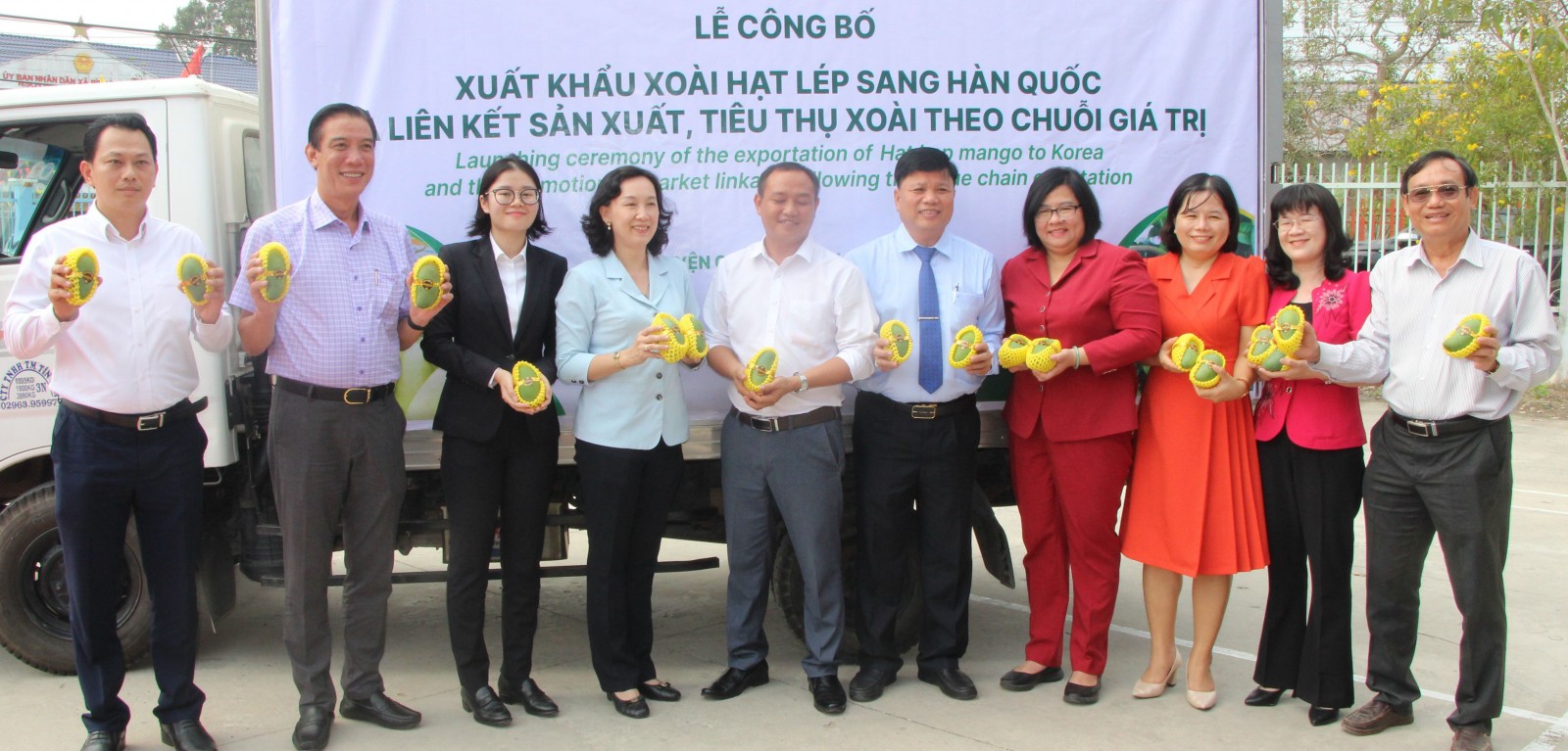 xoài hạt lép cù lao giêng xuất khẩu hàn quốc