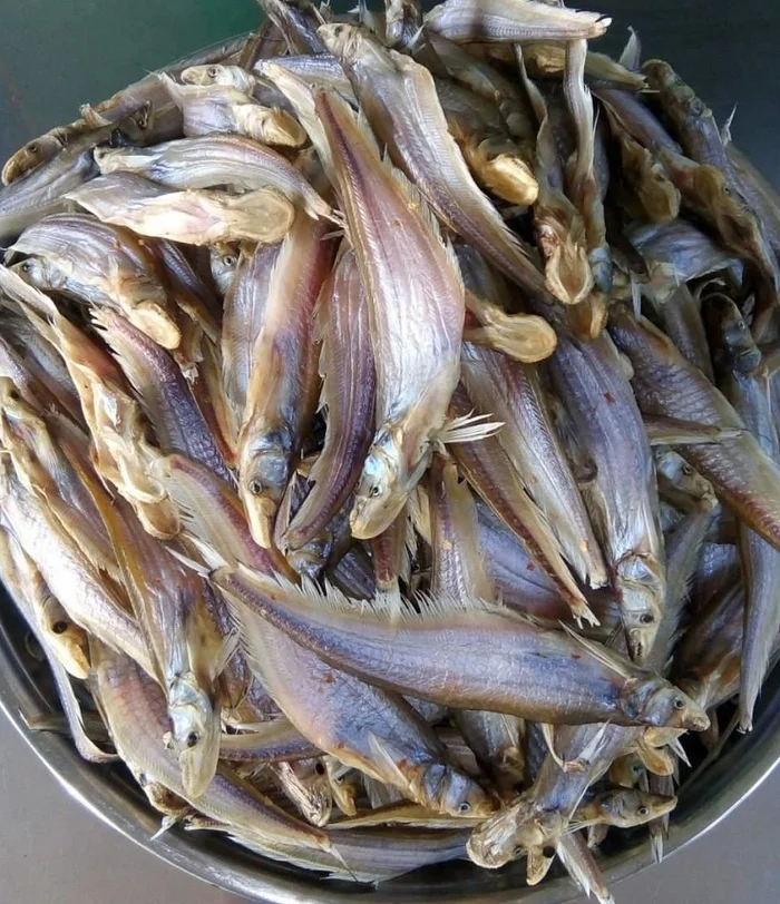 khô cá trèn bầu đặc sản miền Tây