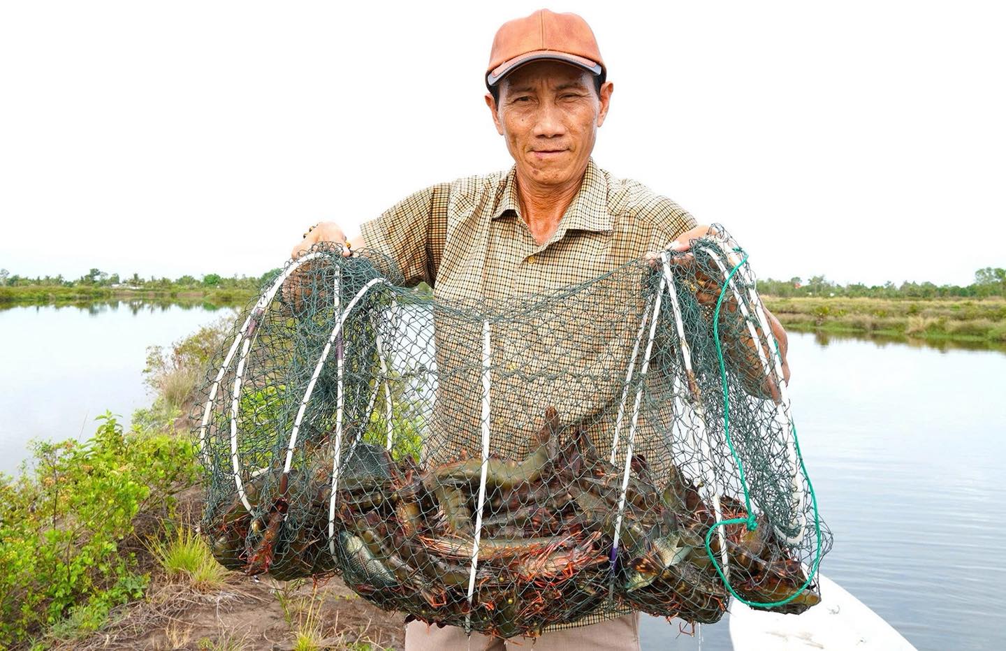 thu hoạch tôm thả lang miền tây