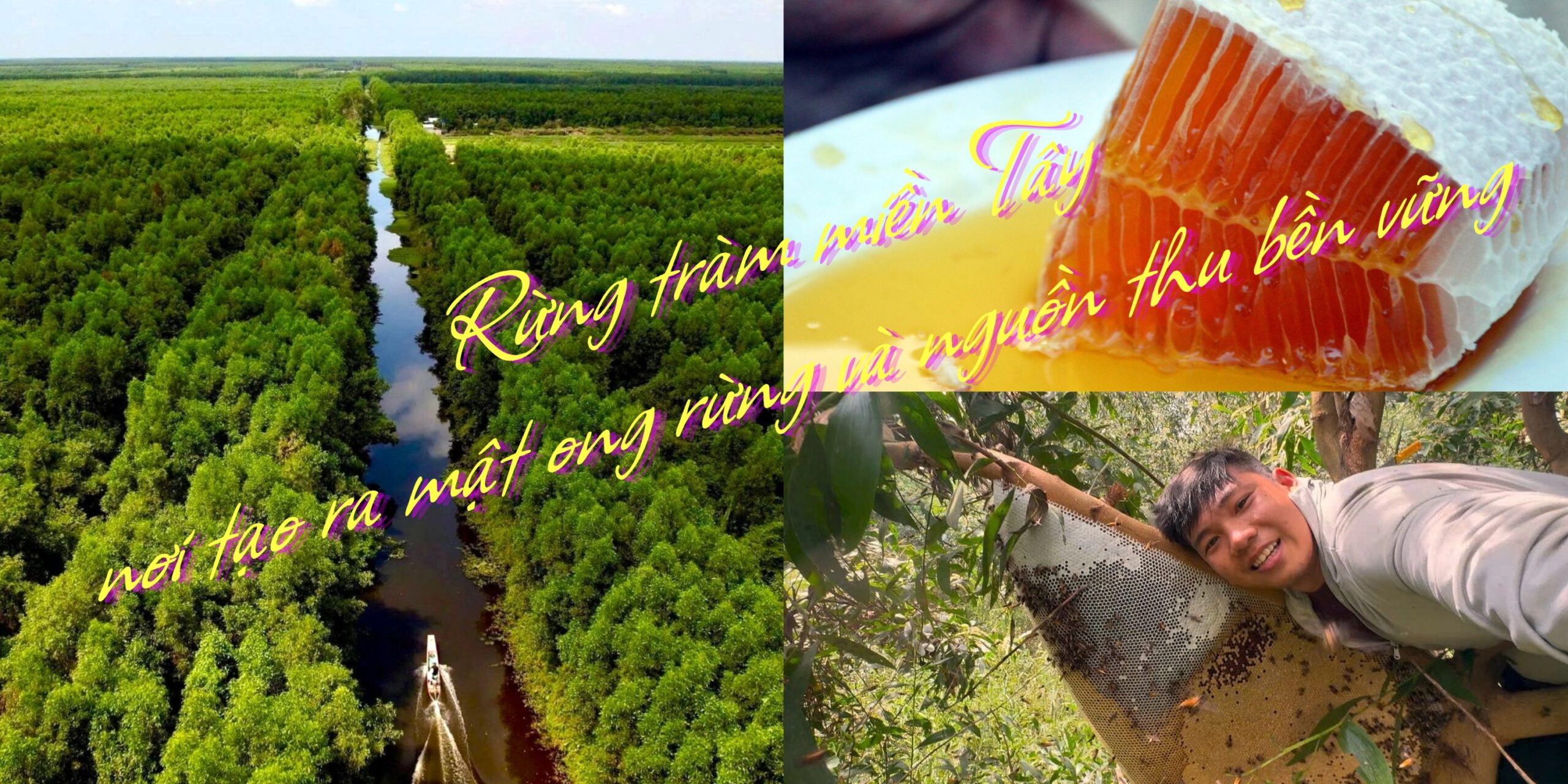 lam giau tu rung tram mien tay voi mat ong rung