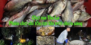 Chợ ma Tha La An Giang mùa nước nổi họp lúc rạng sáng