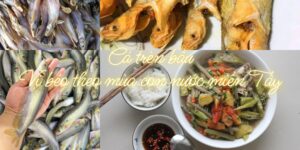 cá trèn bầu đặc sản miền Tây