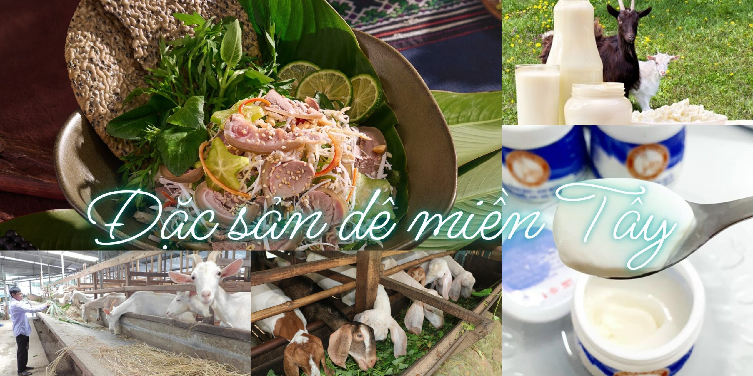 đặc sản dê miền Tây