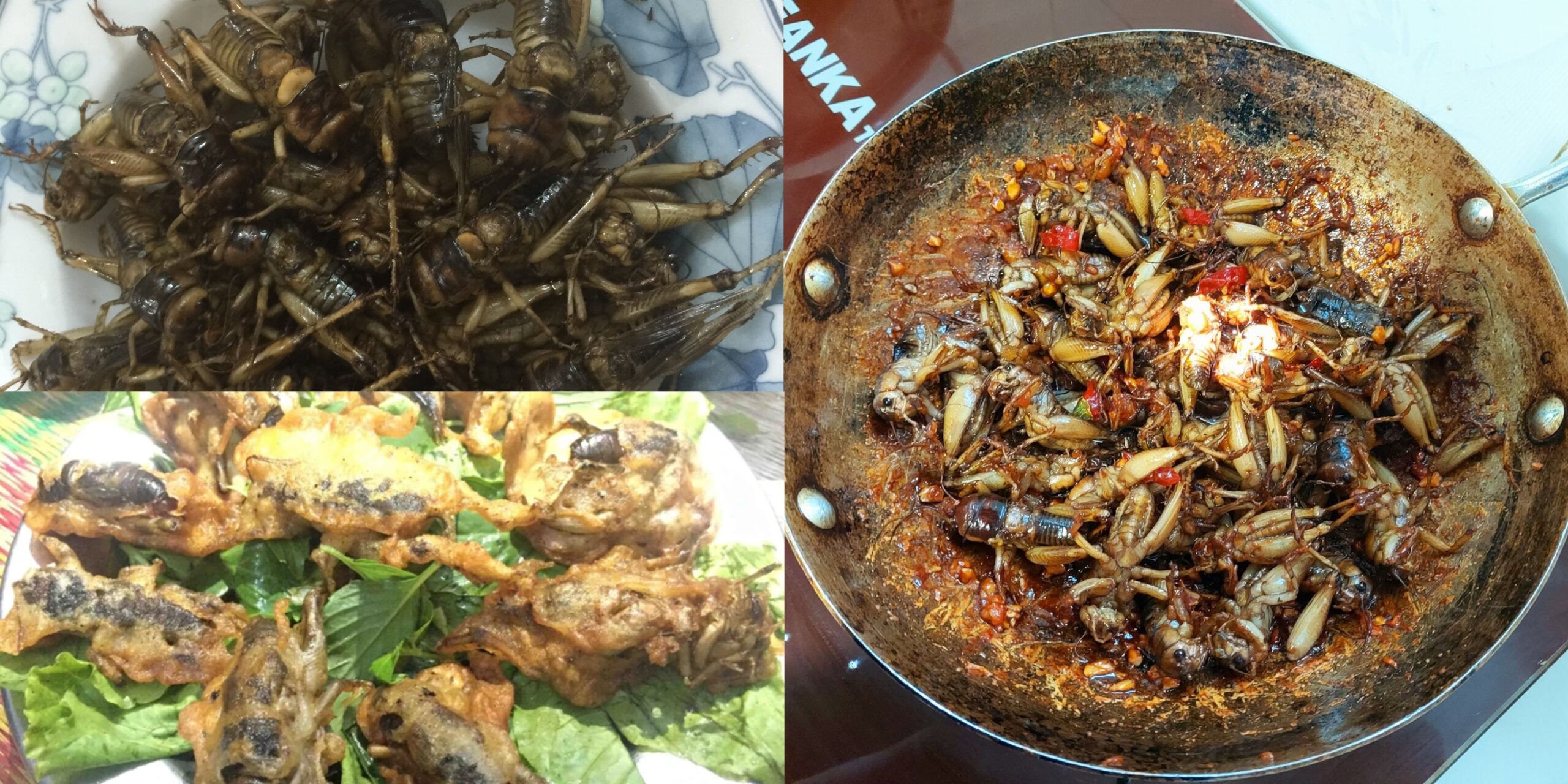 dế cơm chiên giòn miền Tây