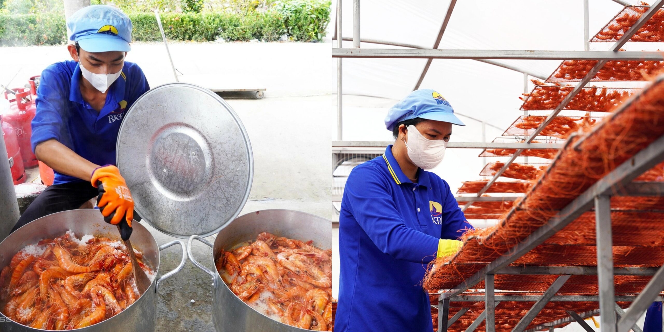 quy trình phơi tôm sú khô Cà Mau