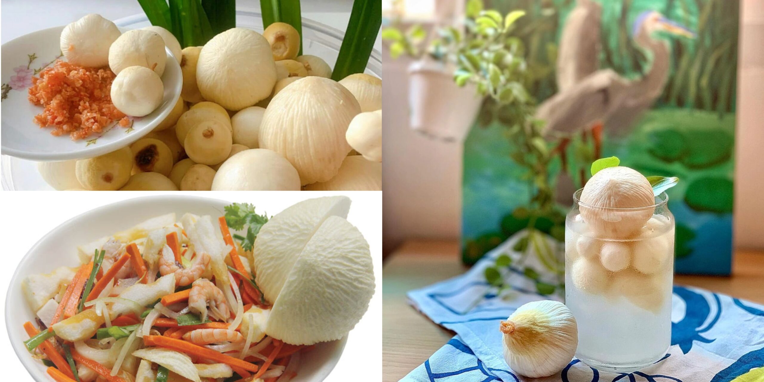 mộng dừa dầm đường gỏi mộng dừa miền Tây