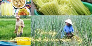 năn bộp miền Tây từ cỏ dại trở thành đặc sản