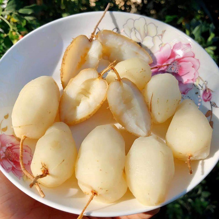 hình dáng củ lùn ruột trắng giòn ngọt