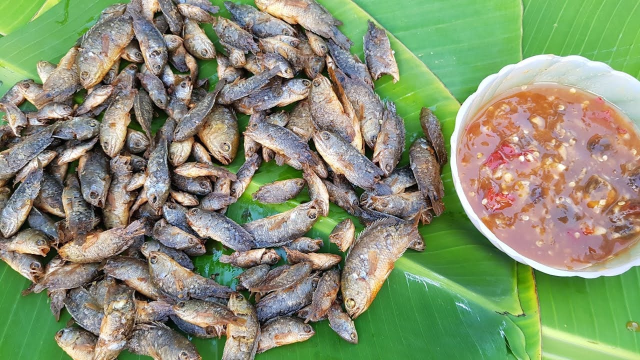 cá rô ron miền Tây chiên giòn mùa mưa